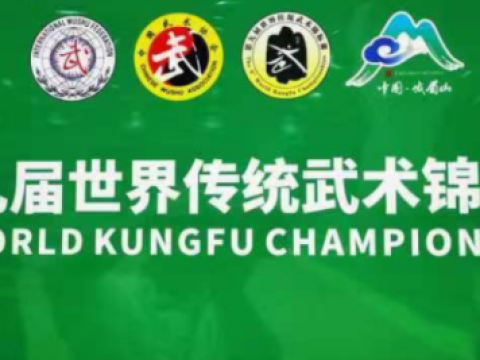 第九届世界传统武术锦标赛山东运动员喜获丰收 郓城参赛成绩骄人